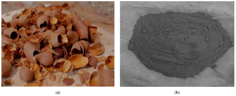 PMC8782032 – polymers-14-00265-f003