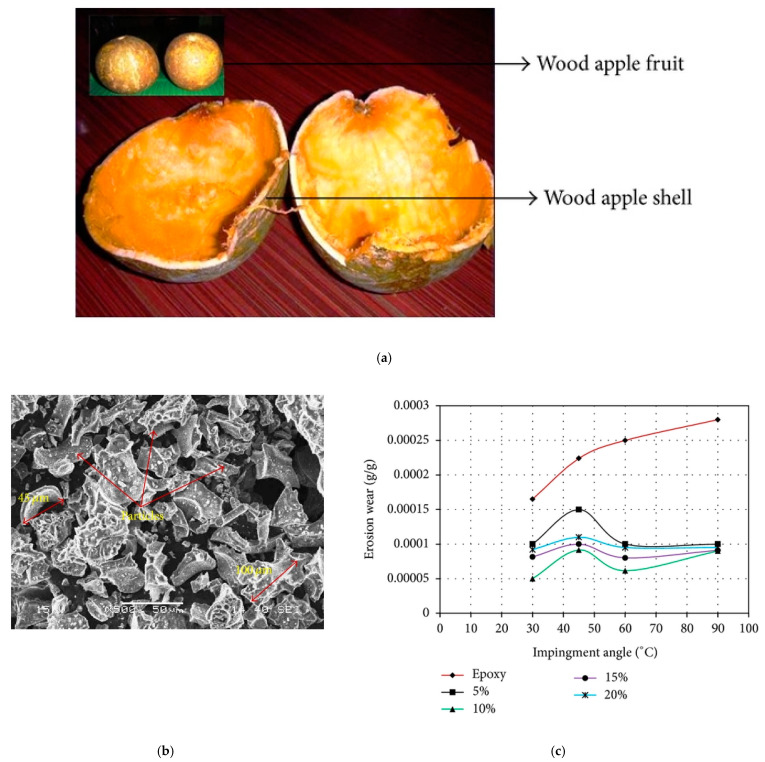 PMC8782032 – polymers-14-00265-f005