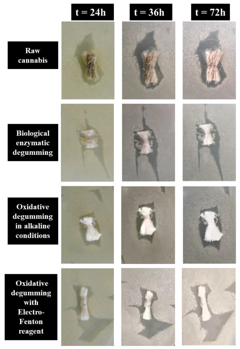 PMC8838538 – polymers-14-00380-f006