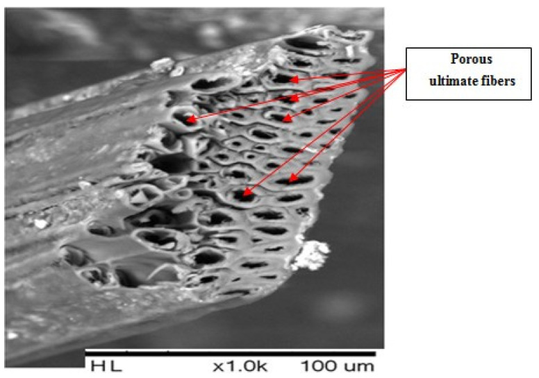 PMC8912526 – polymers-14-00865-f008