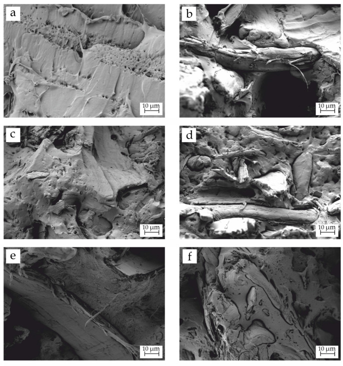 PMC9145613 – polymers-14-01968-f001
