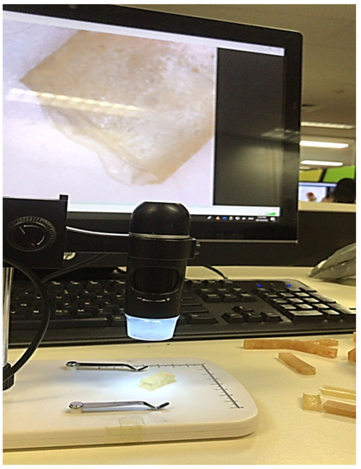 PMC9146303 – polymers-14-02024-f007