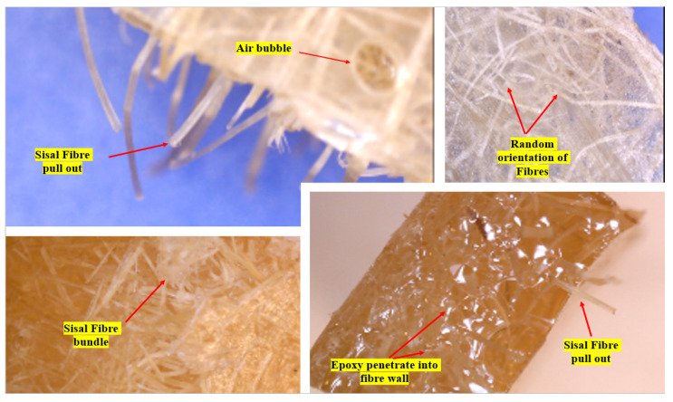 PMC9146303 – polymers-14-02024-f021