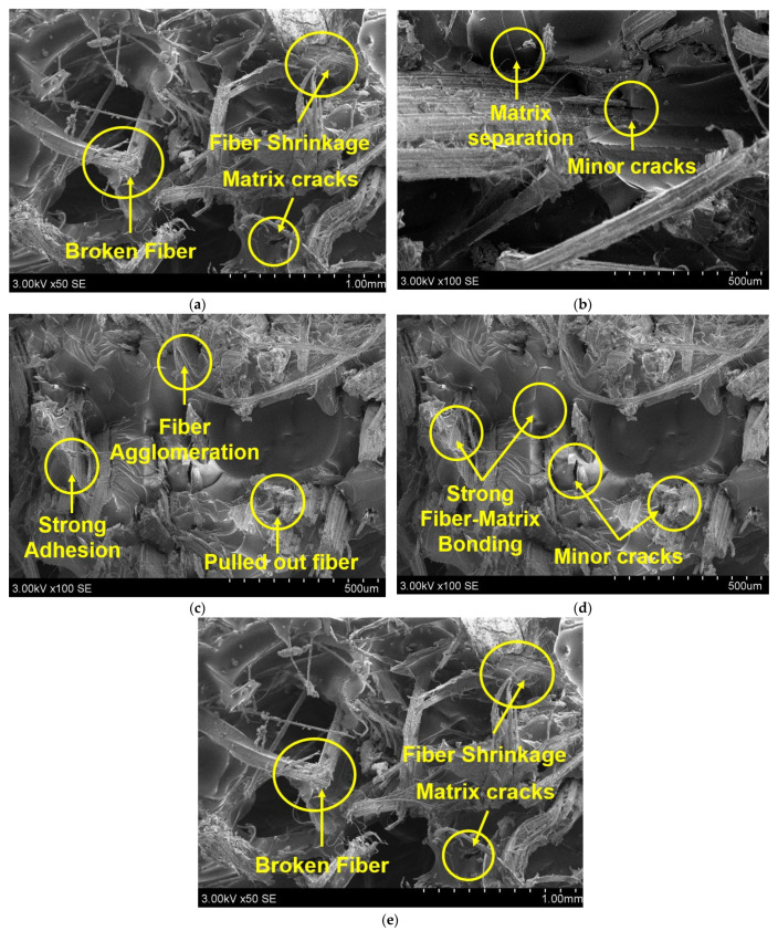 PMC9269614 – polymers-14-02612-f003