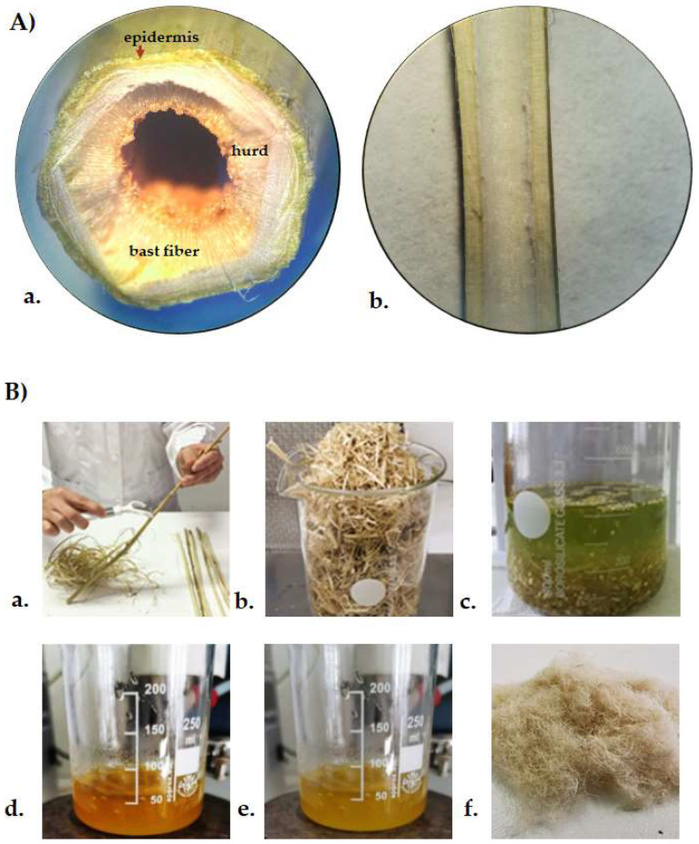 PMC9319283 – polymers-14-02816-f001