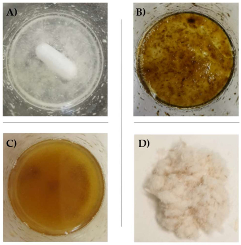 PMC9319283 – polymers-14-02816-f002