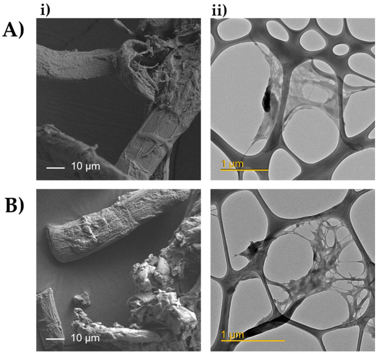 PMC9319283 – polymers-14-02816-f005