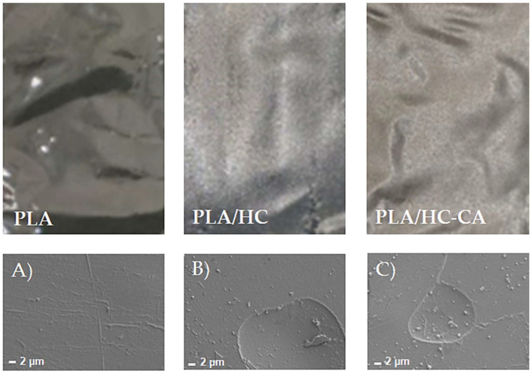 PMC9319283 – polymers-14-02816-f008
