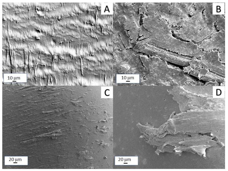 PMC9571719 – polymers-14-04171-f009