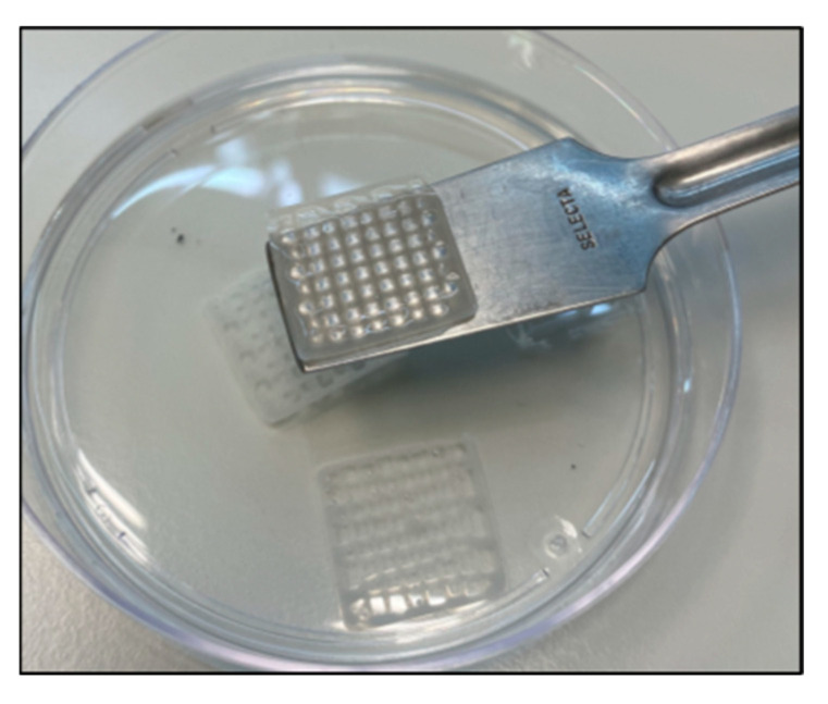 PMC9658303 – polymers-14-04506-f003
