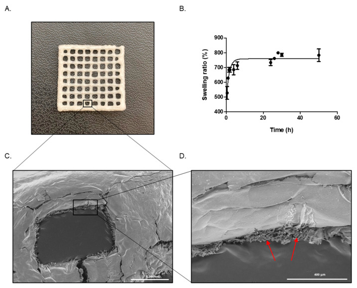PMC9658303 – polymers-14-04506-f004