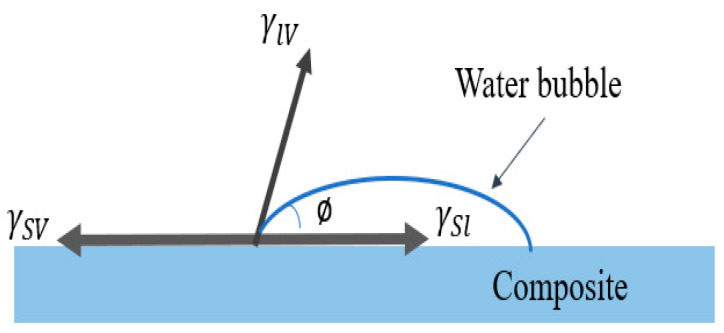 PMC9658773 – polymers-14-04530-f001