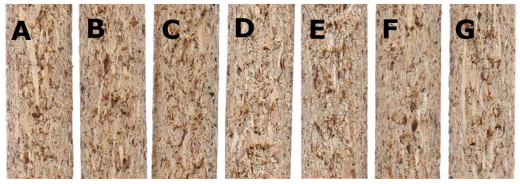 PMC9740516 – polymers-14-05308-f002