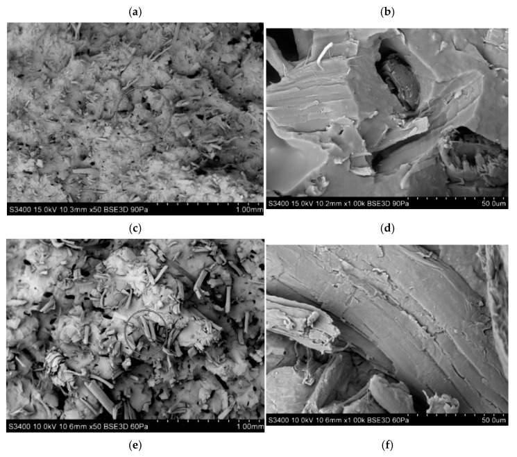 PMC9785153 – polymers-14-05370-f013