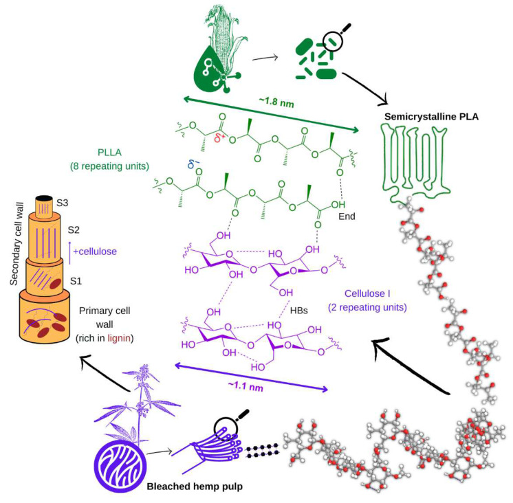 PMC9823908 – polymers-15-00146-f007