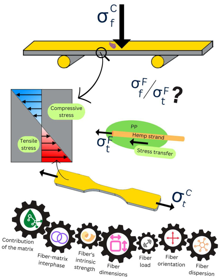 PMC9867195 – polymers-15-00371-f001