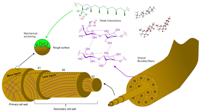 PMC9867195 – polymers-15-00371-f003