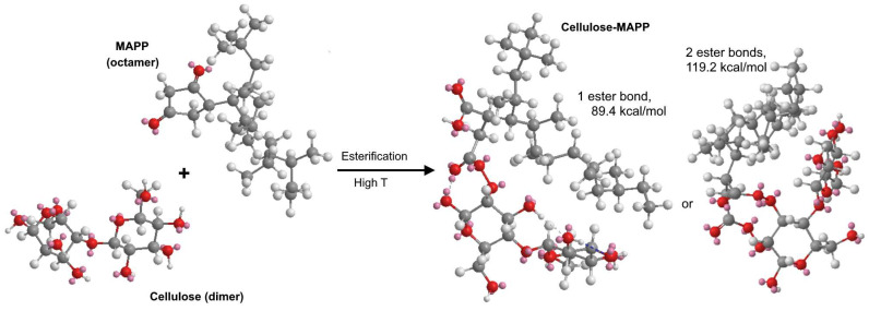 PMC9867195 – polymers-15-00371-f004