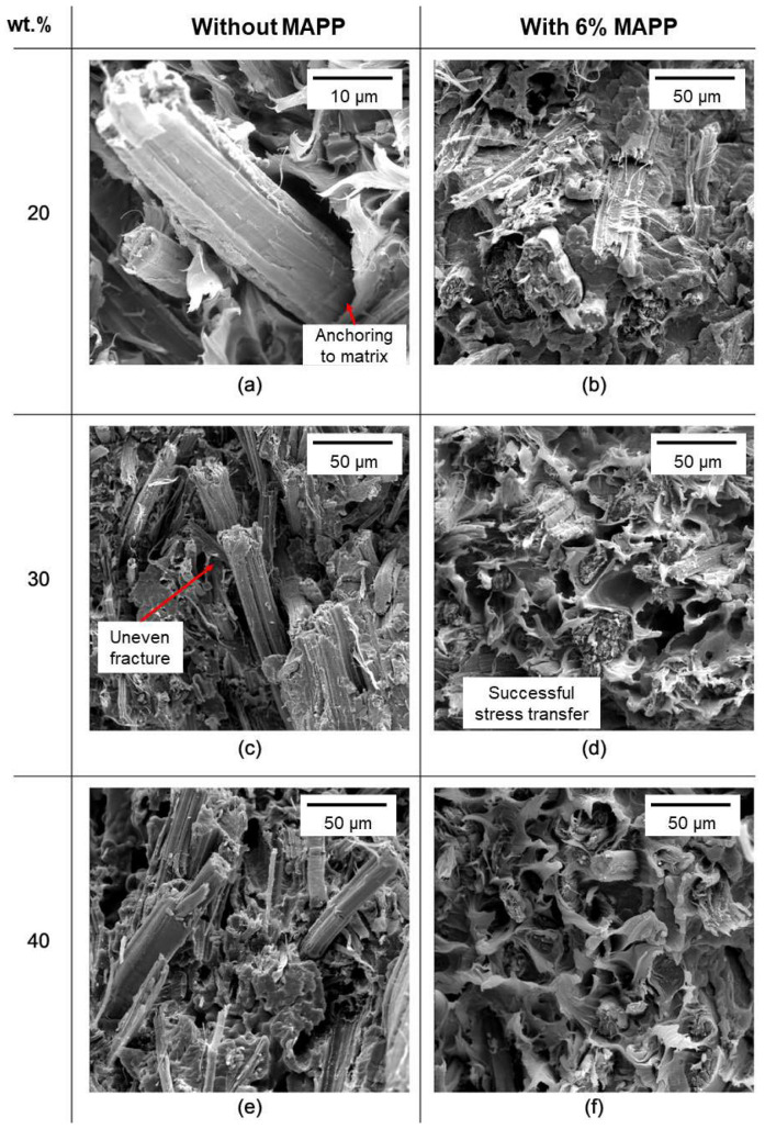 PMC9867195 – polymers-15-00371-f006