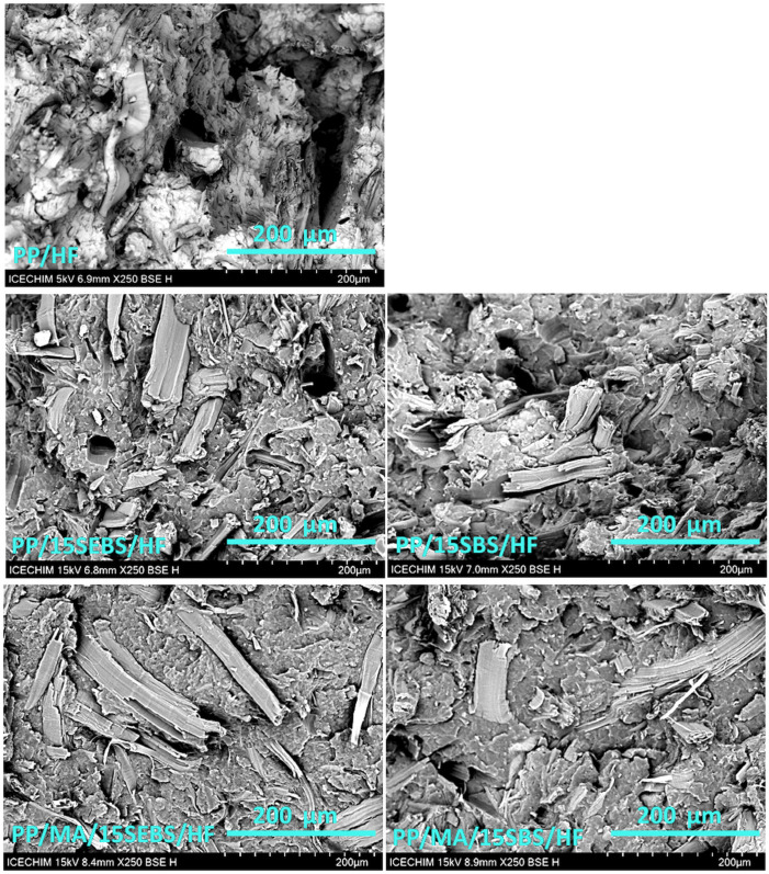PMC9865927 – polymers-15-00409-f005