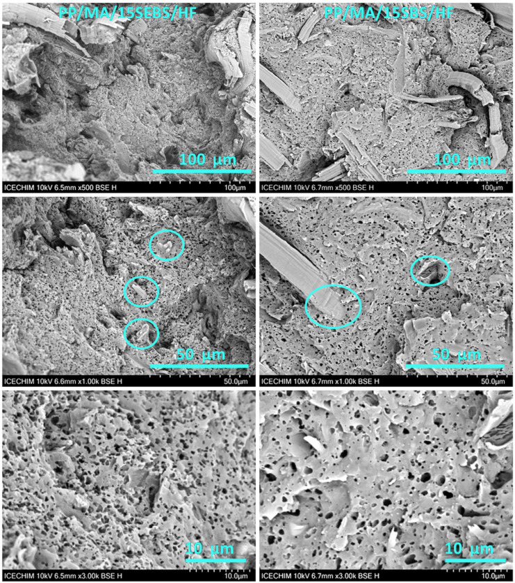 PMC9865927 – polymers-15-00409-f006