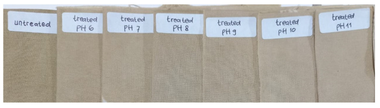 PMC9920436 – polymers-15-00746-f009