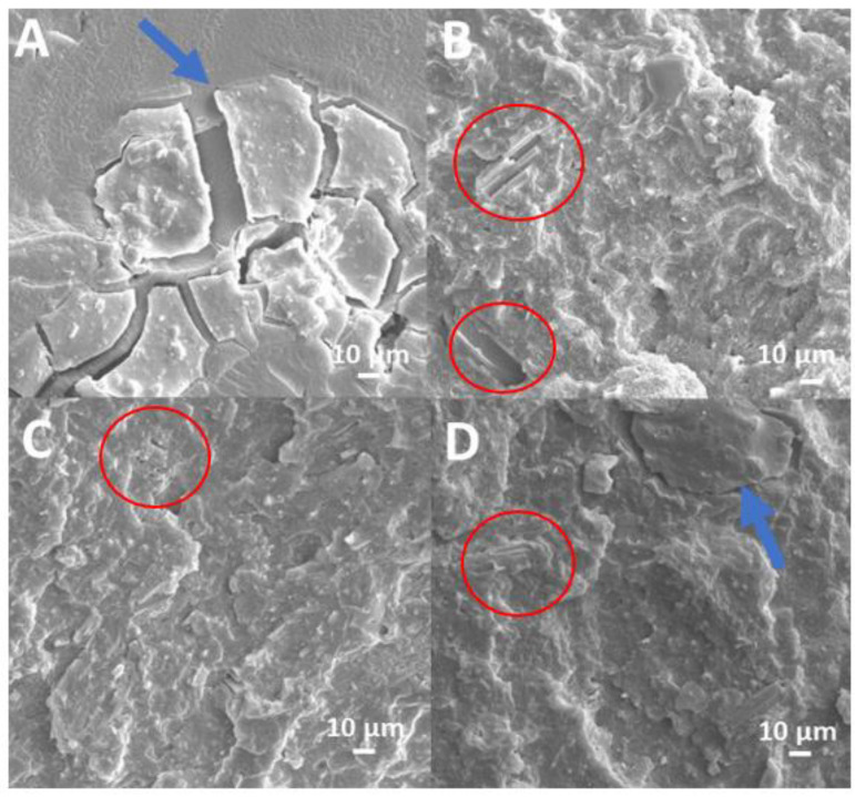 PMC10053798 – polymers-15-01411-f003