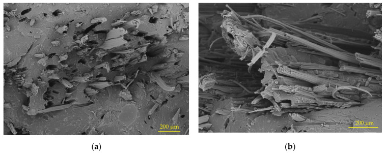 PMC10056527 – polymers-15-01571-f006