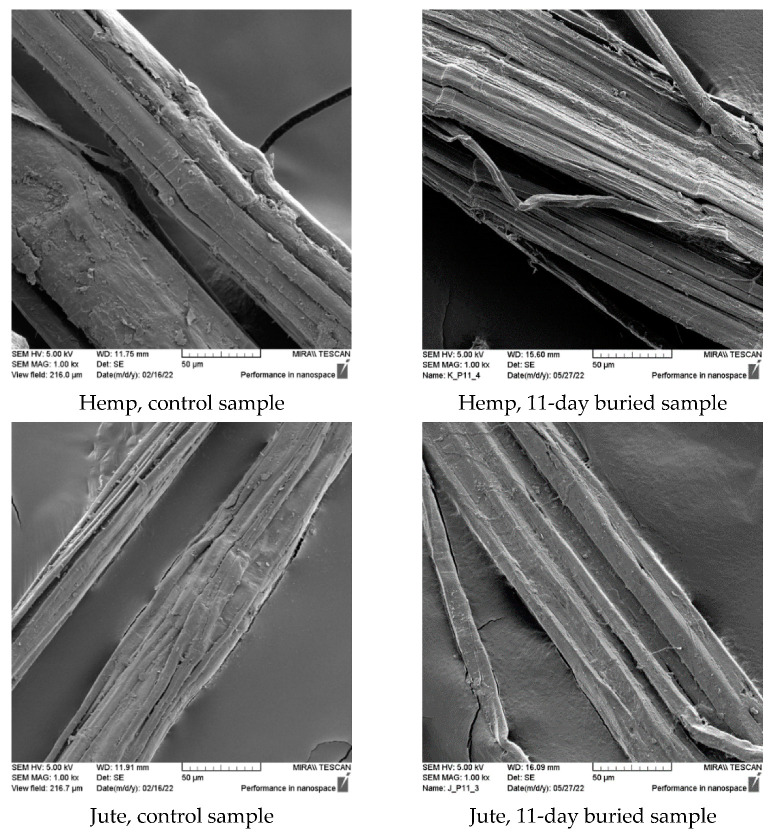 PMC10490323 – polymers-15-03532-f003