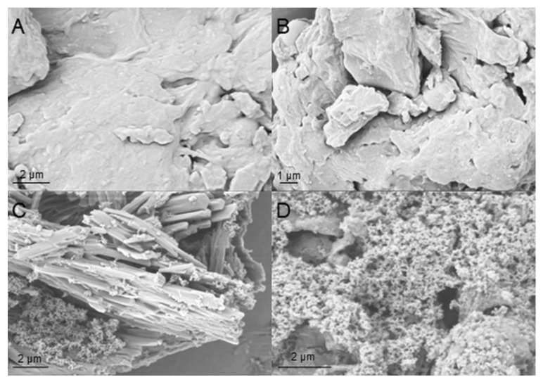 PMC10490182 – polymers-15-03608-f002