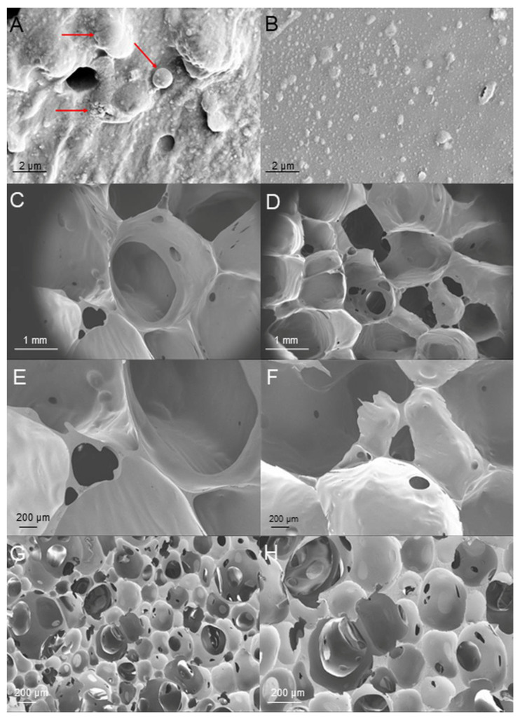 PMC10490182 – polymers-15-03608-f005