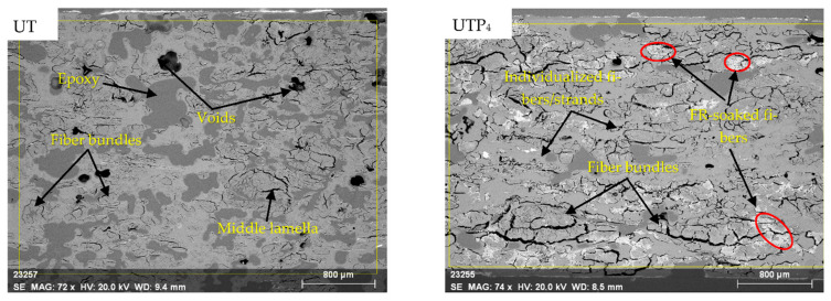 PMC10534385 – polymers-15-03661-f002