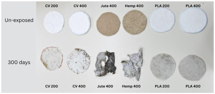 PMC10674407 – polymers-15-04447-f007