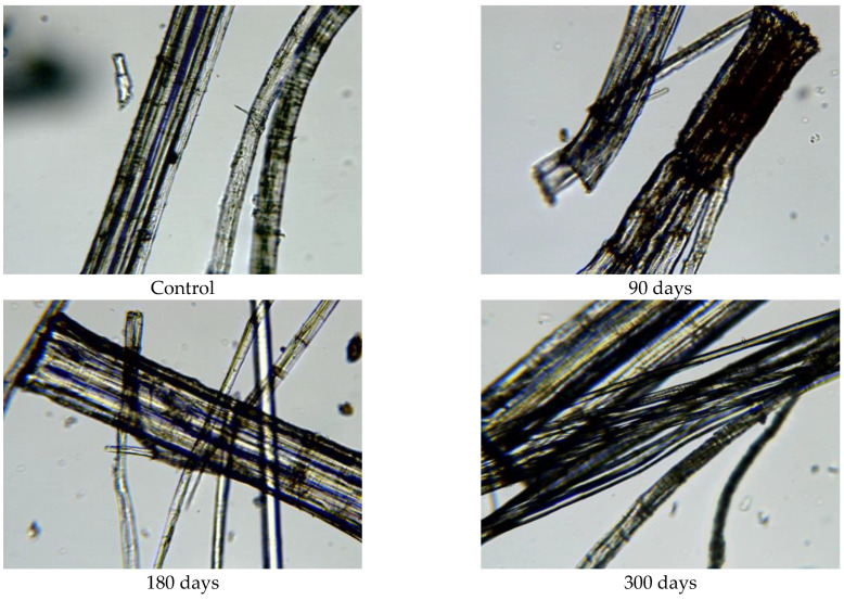PMC10674407 – polymers-15-04447-f011