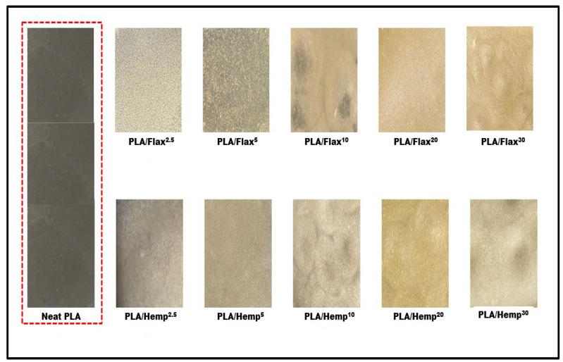 PMC11013793 – polymers-16-00996-f005