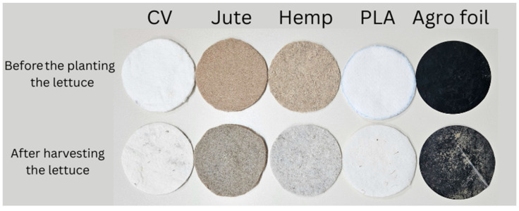 PMC11013758 – polymers-16-01014-f004