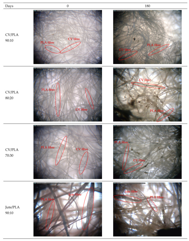 PMC11358960 – polymers-16-02279-f005