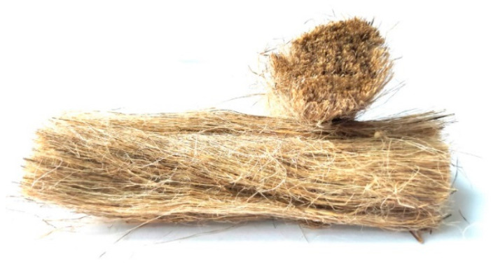 PMC11435865 – polymers-16-02644-f001