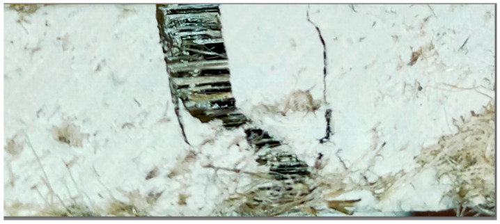 PMC11435865 – polymers-16-02644-f011