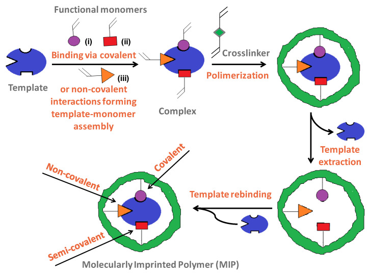 PMC11478541 – polymers-16-02699-f001
