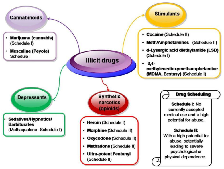 PMC11478541 – polymers-16-02699-f005