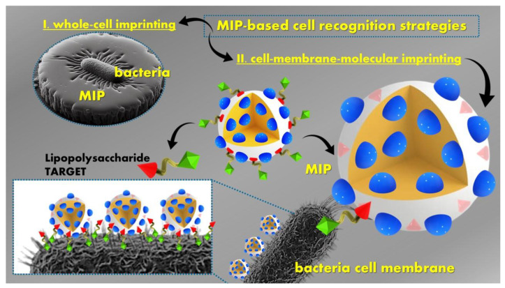 PMC11478541 – polymers-16-02699-f006