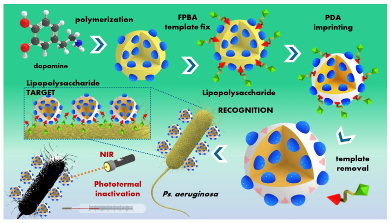 PMC11478541 – polymers-16-02699-f007