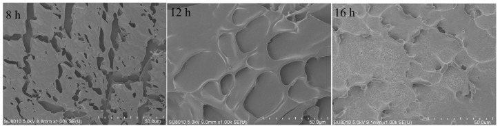 PMC11548347 – polymers-16-03032-f011