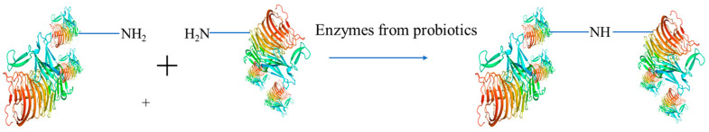 PMC11548347 – polymers-16-03032-f017