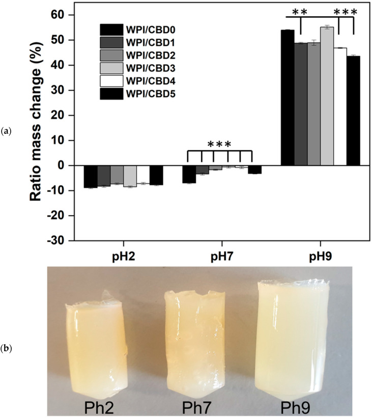 PMC11644163 – polymers-16-03273-f002