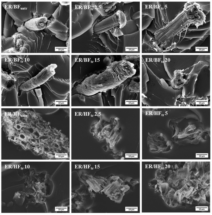 PMC11644391 – polymers-16-03394-f004