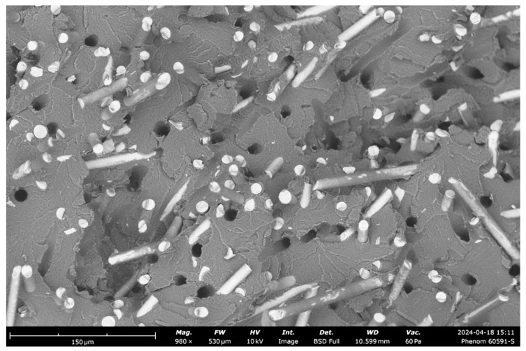 PMC11678202 – polymers-16-03458-f011