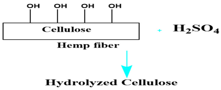 PMC11728793 – polymers-16-03473-f002