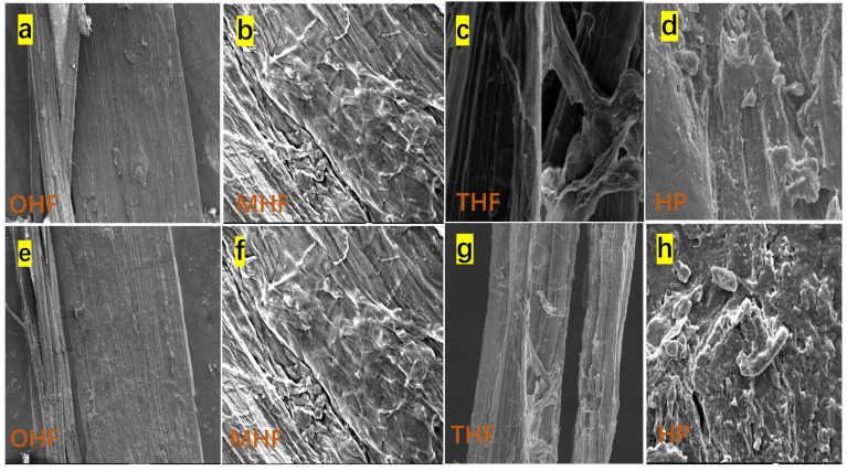PMC11728793 – polymers-16-03473-f003